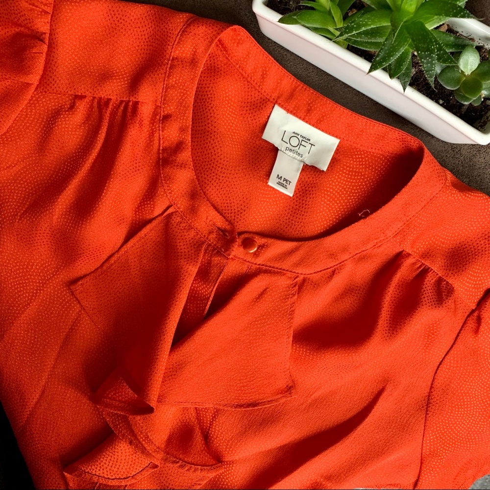 Ann Taylor Loft Short Sleeve Button Down Blouse